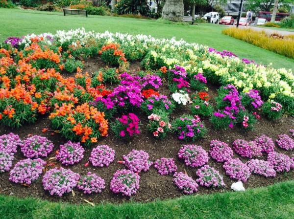 IMG_0095-e1441665531949