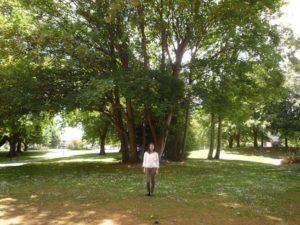 ニュージーランドでゆったりとした暮らしを