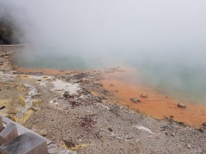 ニュージーランドで新分野にチャレンジ！