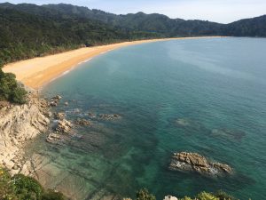 NZ人気のトレッキングコース、グレートウォークを歩いてみよう